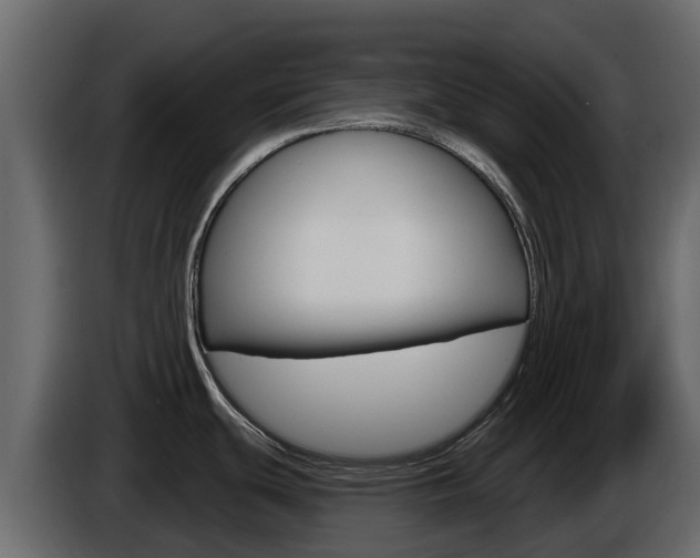 X0000086021439200703230923