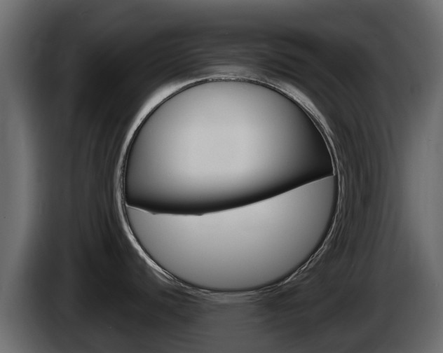 X0000086021440200703230923