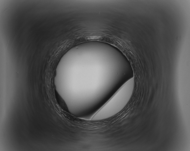 X0000086021441200703230922