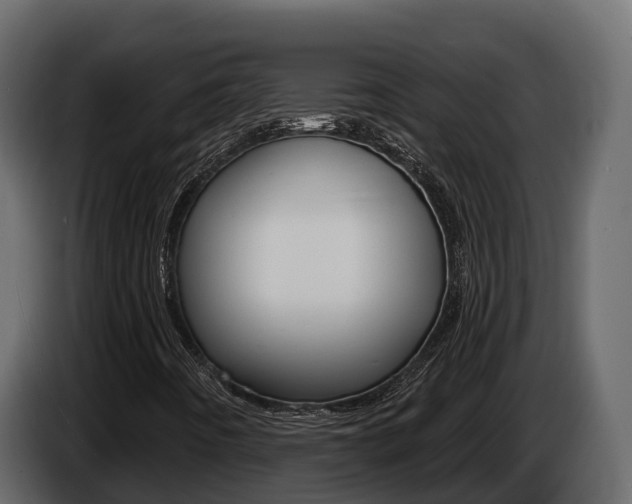 X0000086021442200703230922