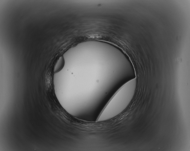 X0000086021444200703230922