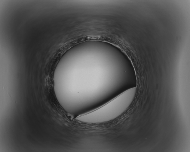 X0000086021445200703230922