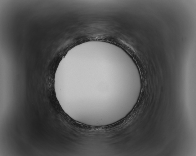 X0000086021447200703230922