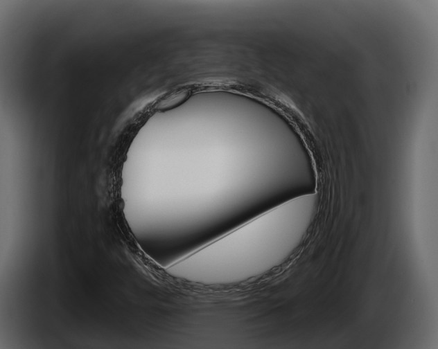 X0000086021448200703230922