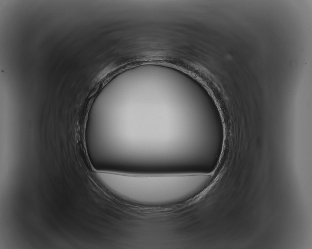 X0000086021449200703230922