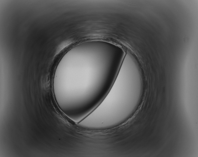 X0000086021450200703230922
