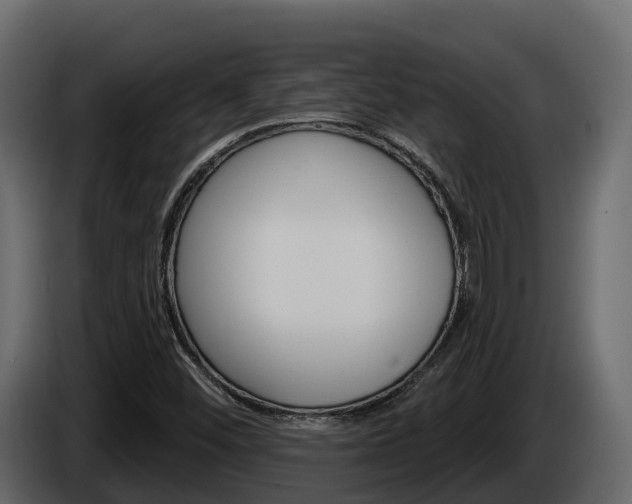 X0000086021452200703230922