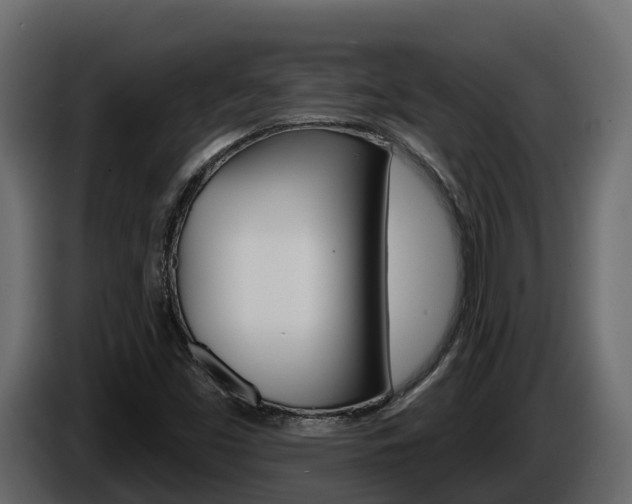 X0000086021453200703230922