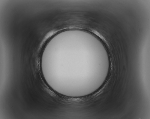 X0000086021454200703230922