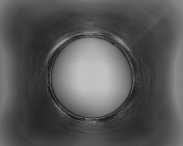 X0000086021456200703230922