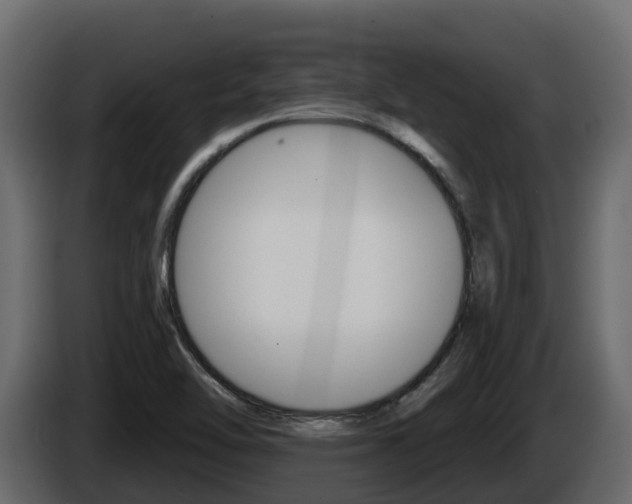 X0000086021462200703230922