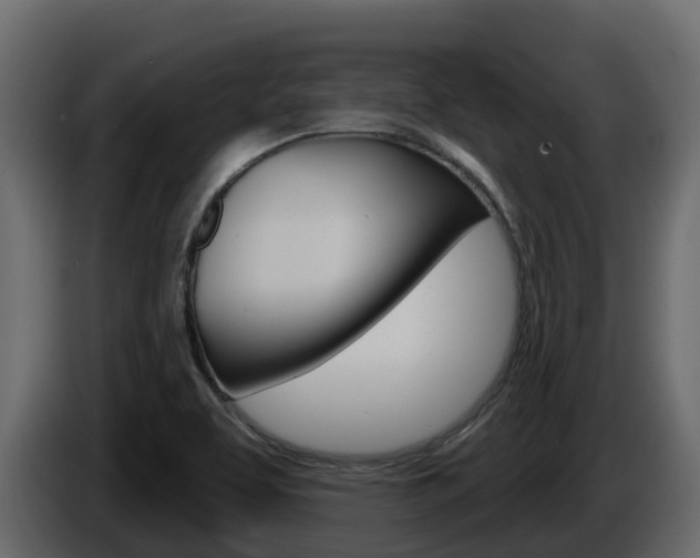 X0000086021463200703230922
