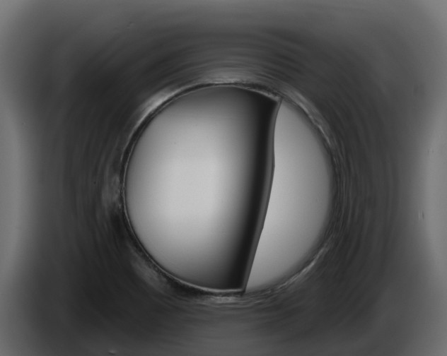X0000086021465200703230922