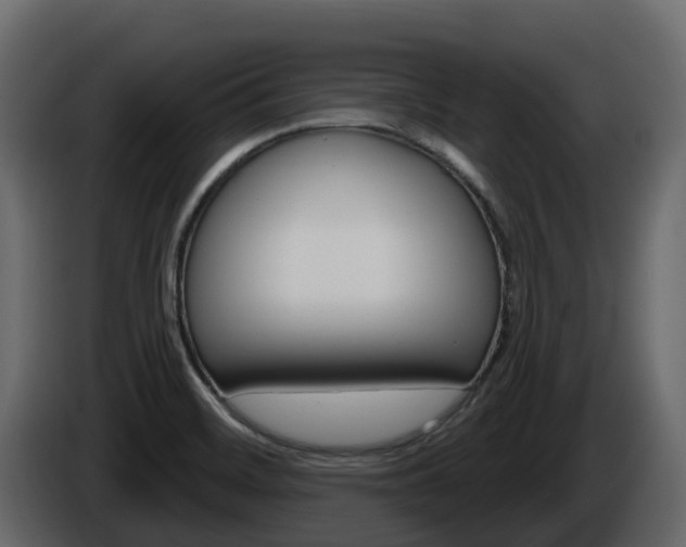 X0000086021468200703230922