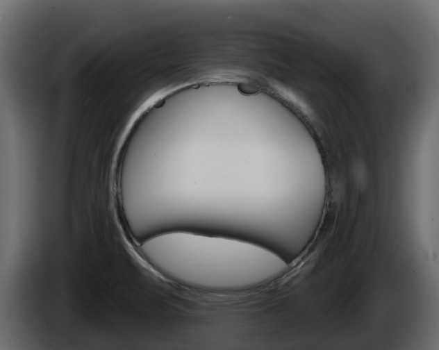 X0000086021471200703230922