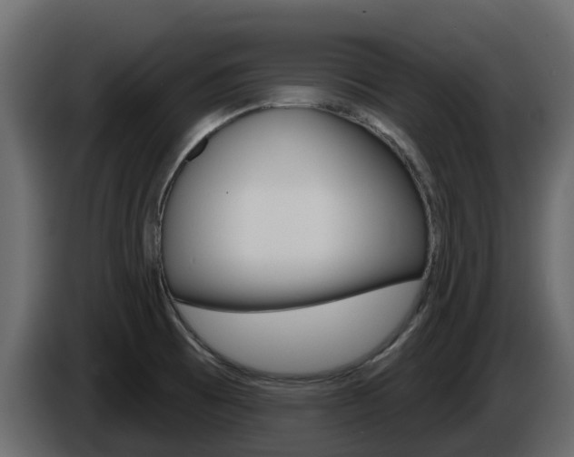 X0000086021473200703230922