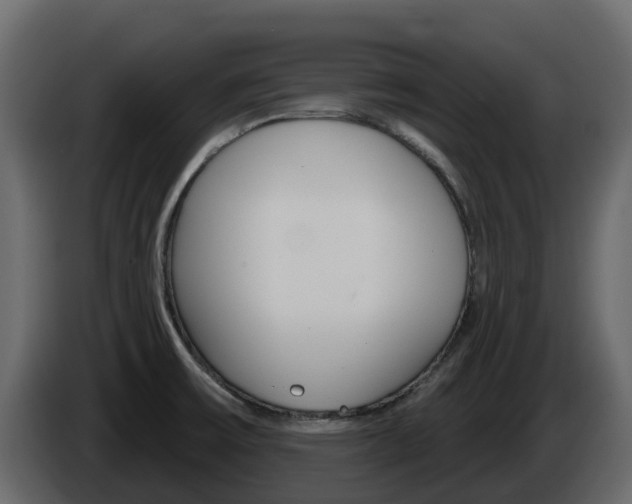 X0000086021475200703230922
