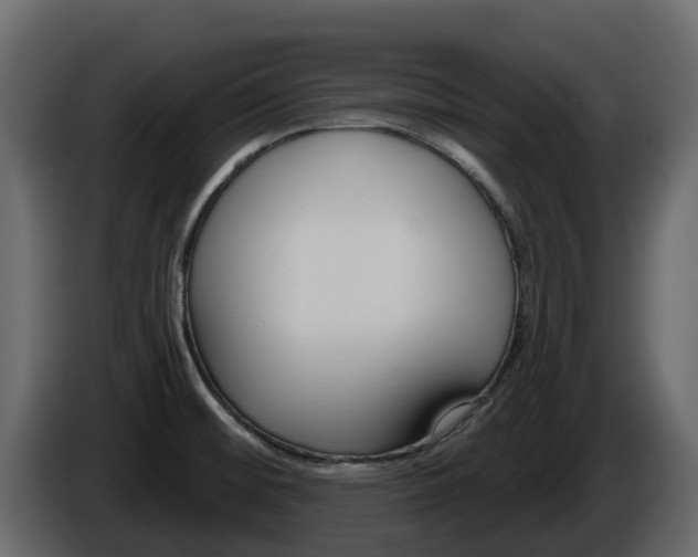 X0000086021476200703230922