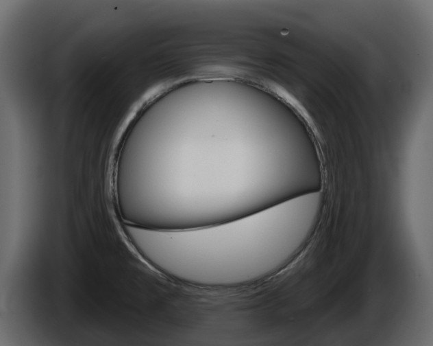 X0000086021477200703230922