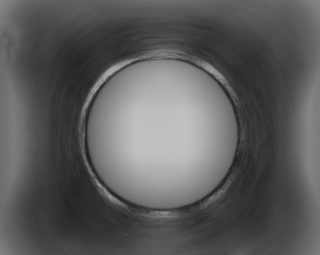 X0000086021478200703230922