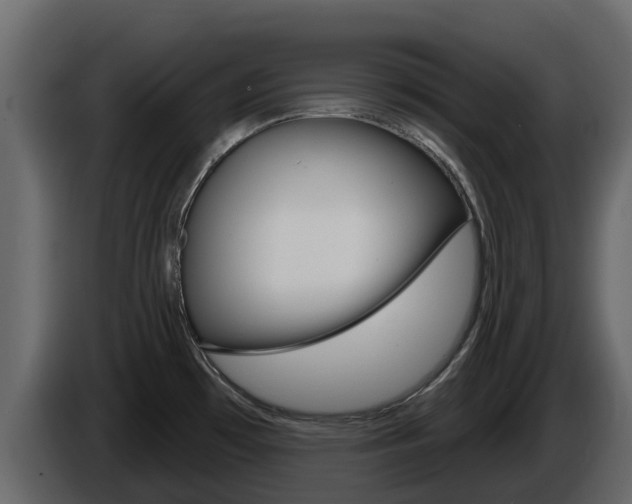 X0000086021481200703230922
