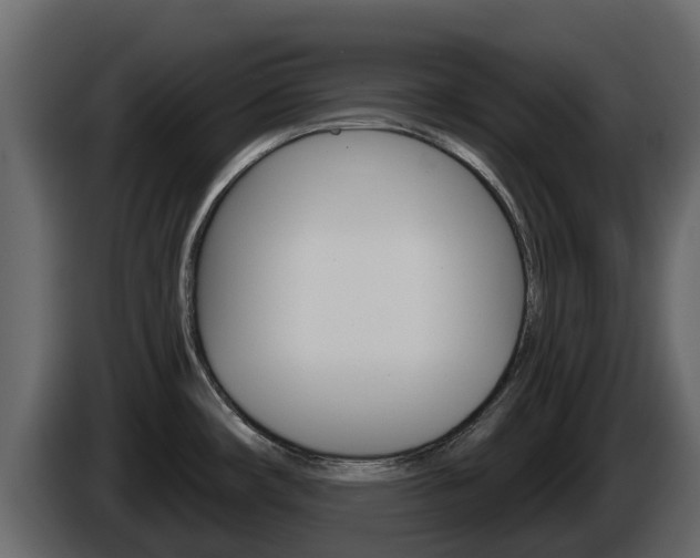 X0000086021482200703230922