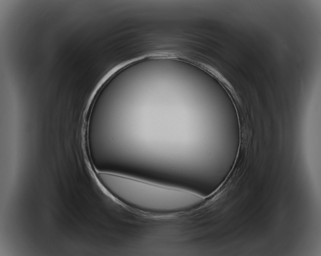 X0000086021484200703230922