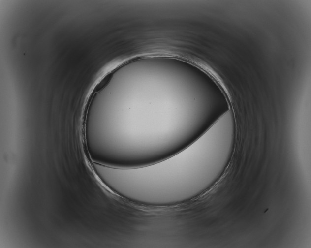 X0000086021485200703230922