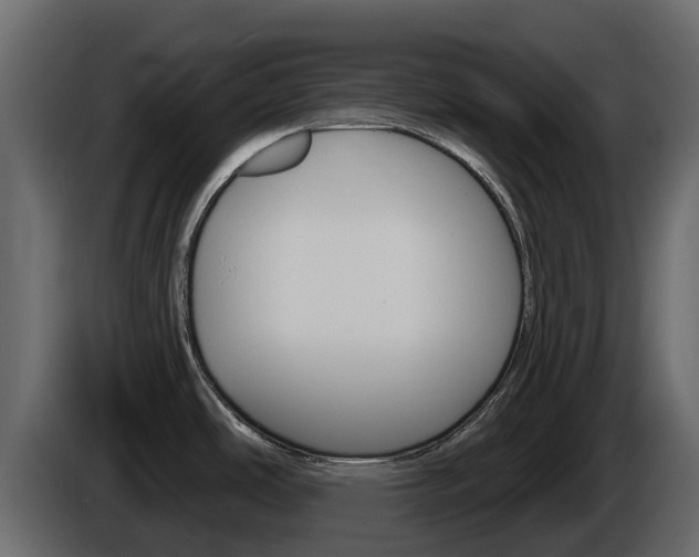 X0000086021486200703230922