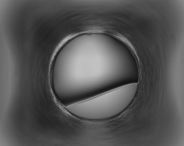 X0000086021488200703230922