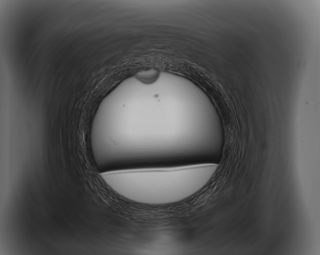 X0000086021489200703230921