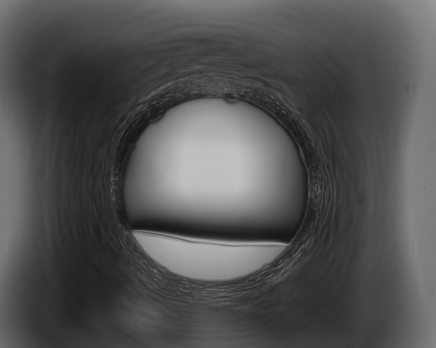 X0000086021490200703230921