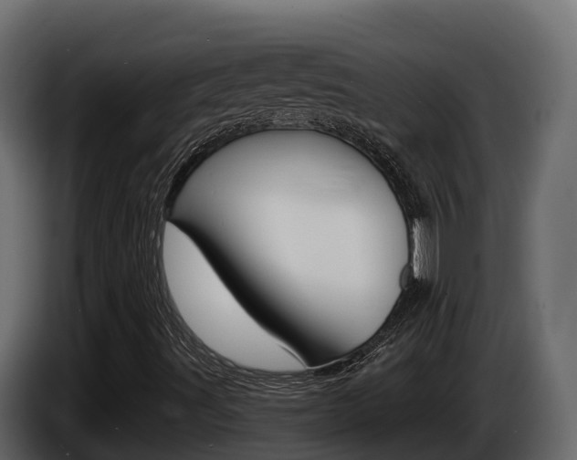 X0000086021491200703230921