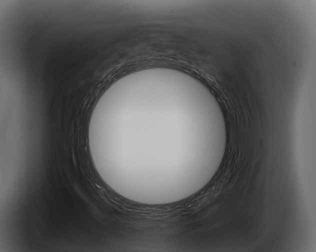 X0000086021492200703230921