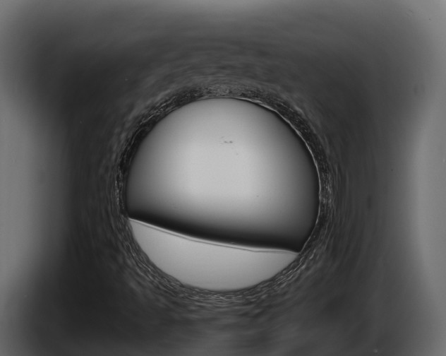 X0000086021493200703230921
