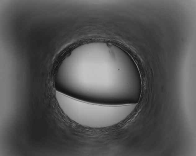 X0000086021494200703230921