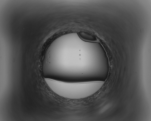 X0000086021495200703230921