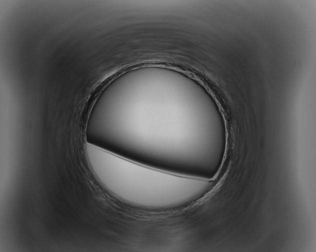 X0000086021497200703230921