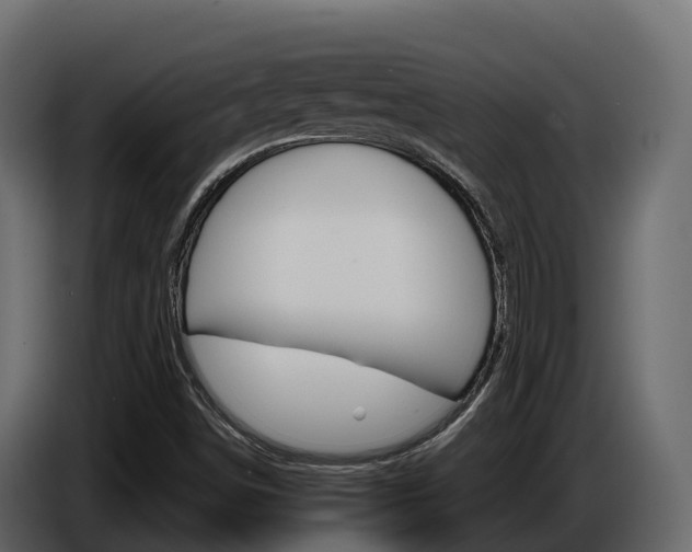 X0000086021498200703230921