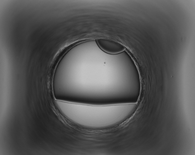X0000086021499200703230921