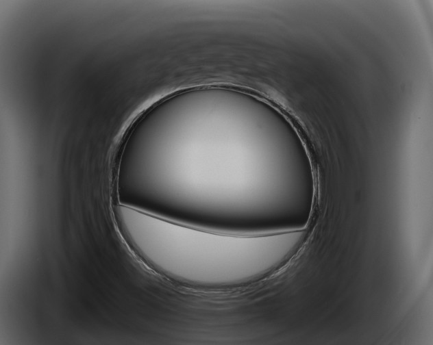 X0000086021500200703230921