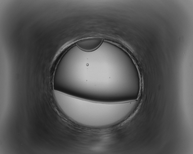 X0000086021501200703230921