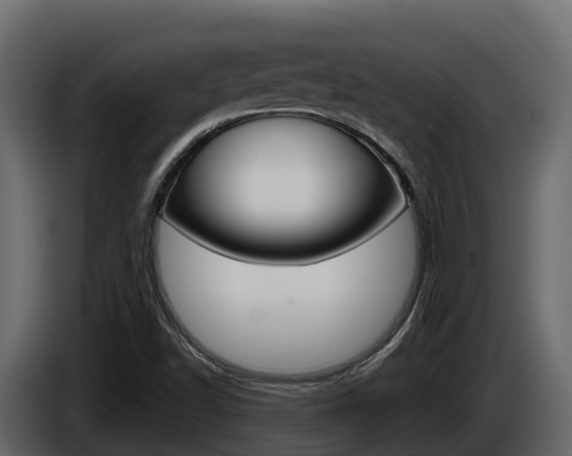 X0000086021502200703230921