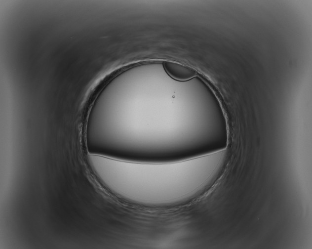 X0000086021503200703230921