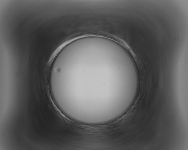 X0000086021504200703230921