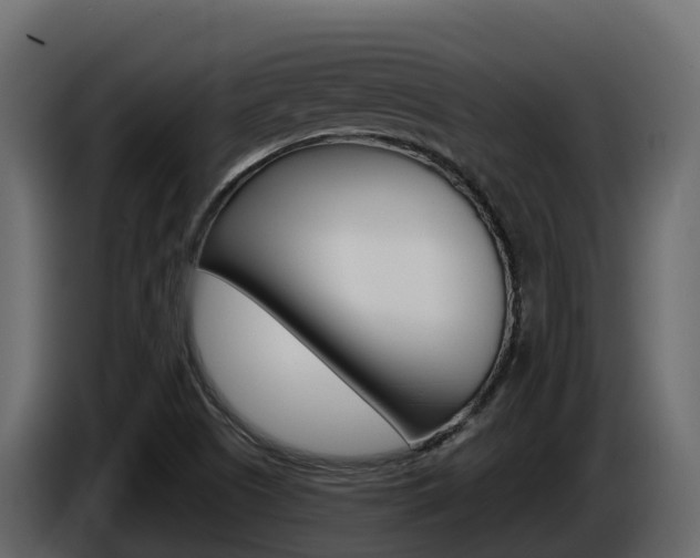 X0000086021505200703230921