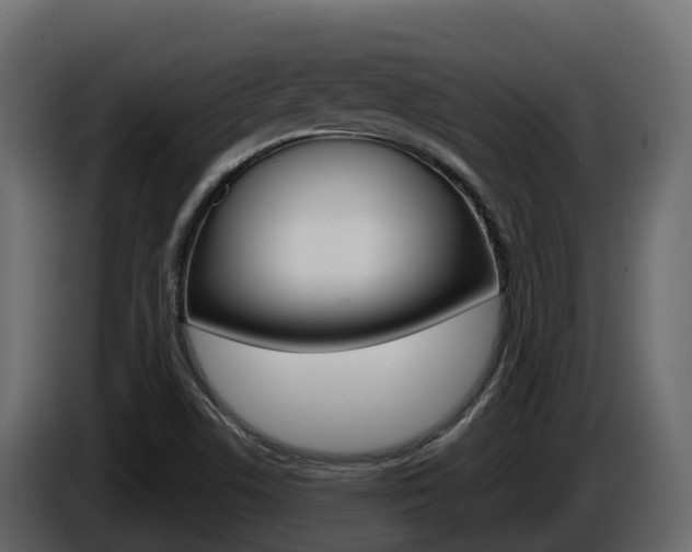 X0000086021506200703230921