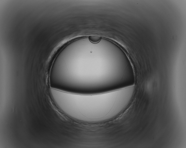 X0000086021507200703230921