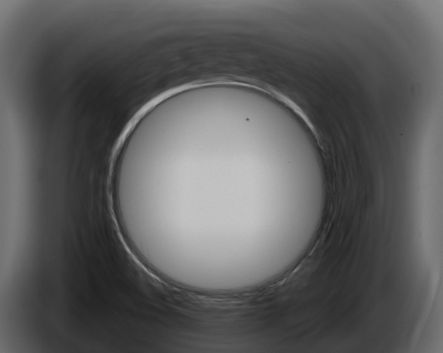 X0000086021508200703230921
