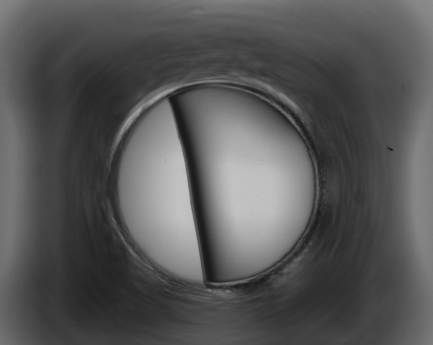 X0000086021509200703230921